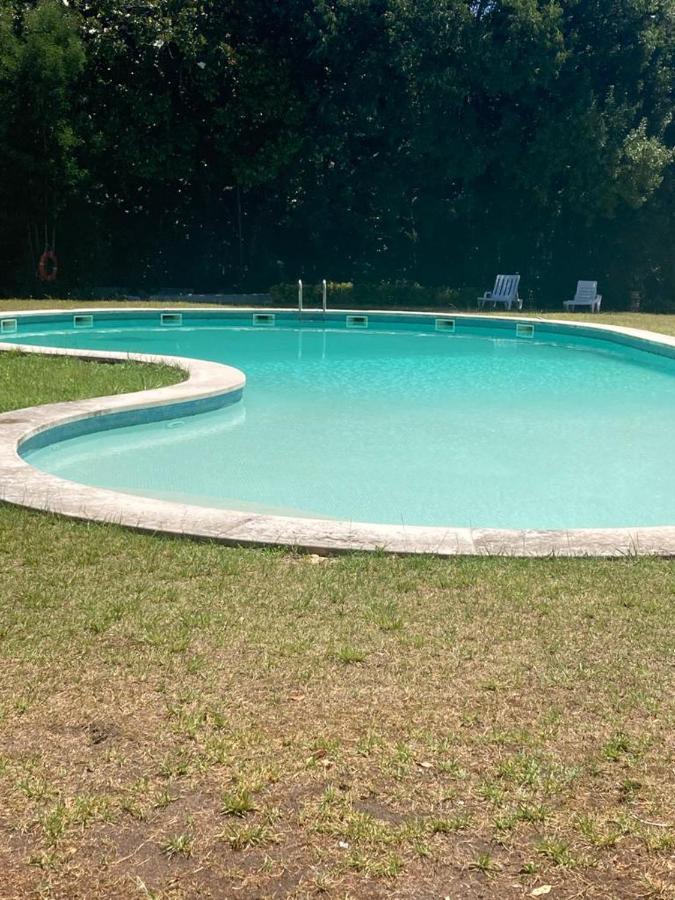 Cozy Classic Apartments 2 - Palácio da Quinta da Portela Coimbra Esterno foto